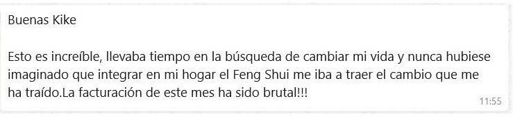 testimonio 5 estudio feng shui